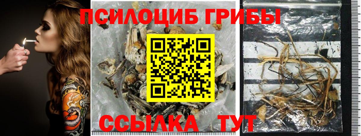 Галлюциногенные грибы мицелий Сосновоборск
